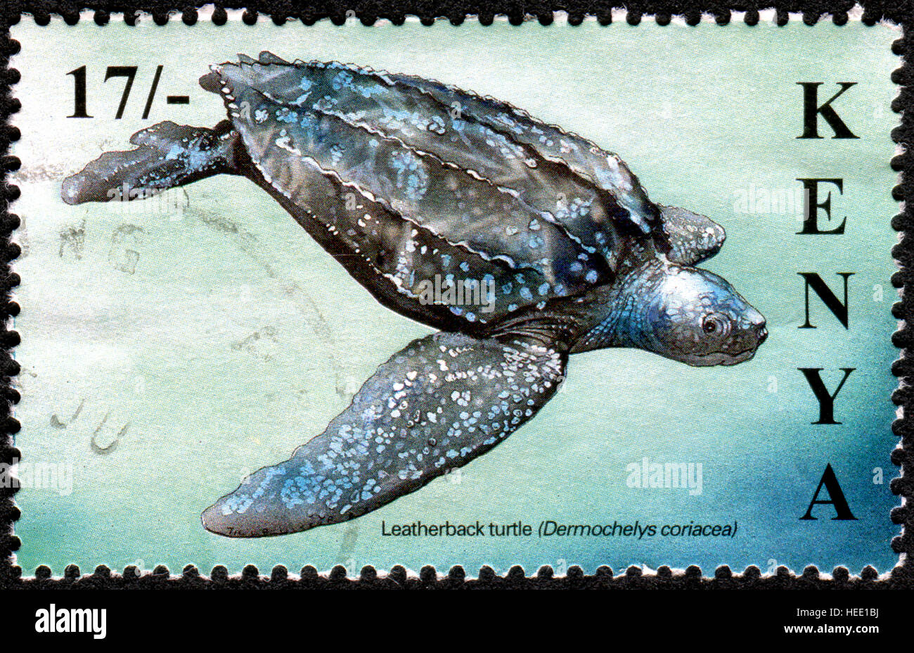 Kenia - CIRCA 2000: Eine Briefmarke gedruckt in Kenia, zeigt die Lederschildkröte (Dermochelys Coriacea), ca. 2000 Stockfoto