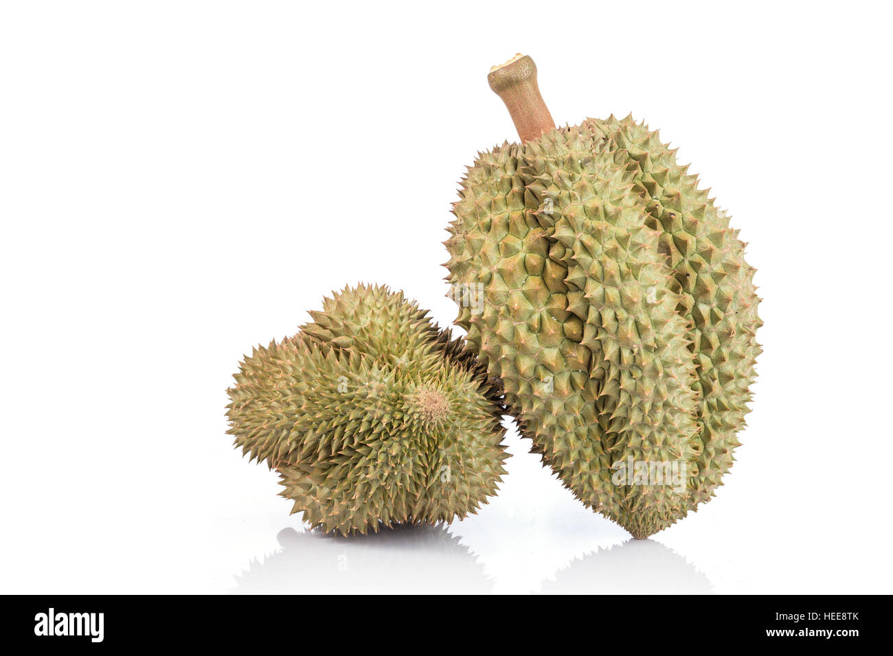 Nahaufnahme Thai Durian, tropische Früchte, isoliert auf weißem Hintergrund Stockfoto