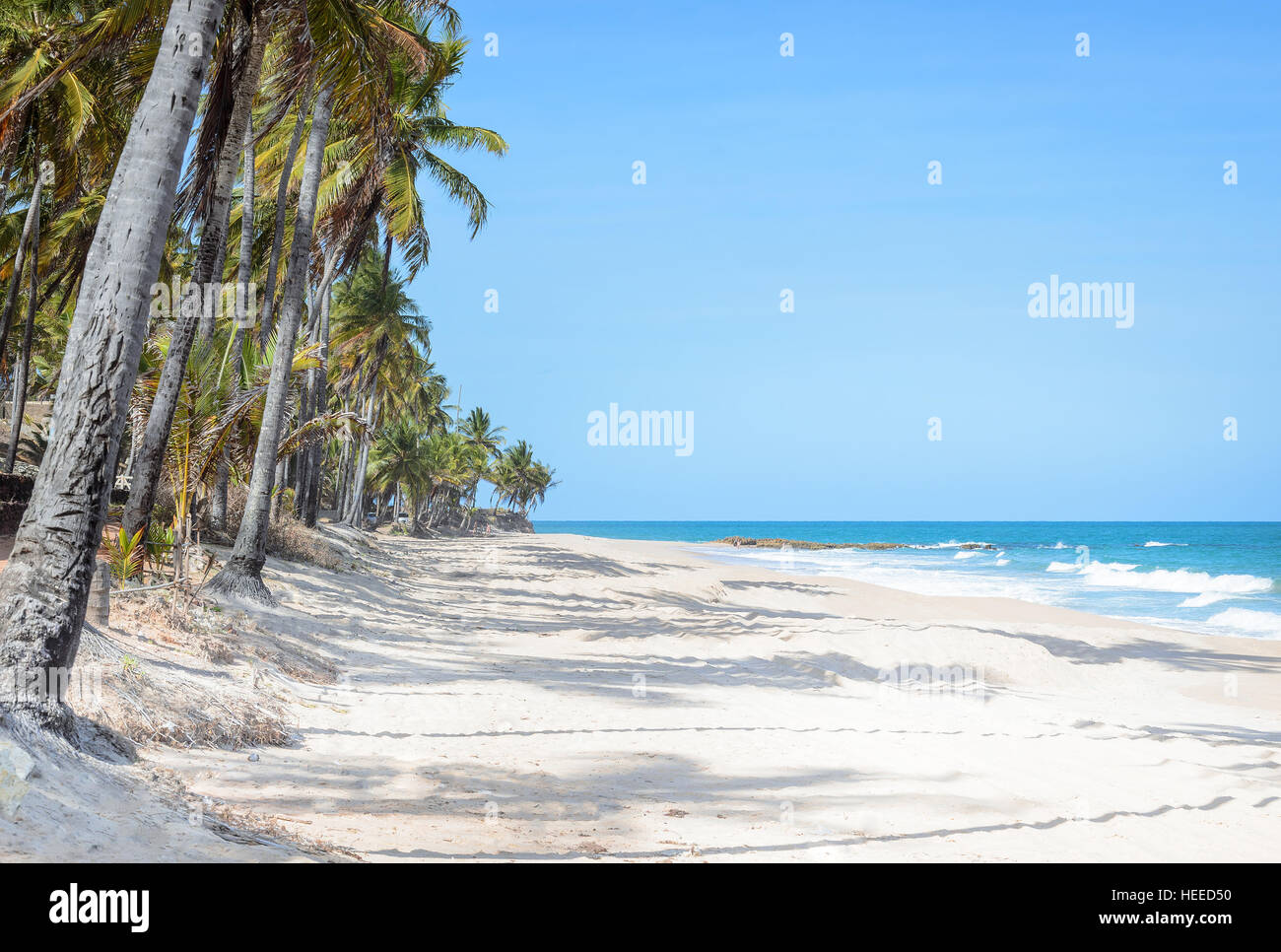 Strand, umgeben von Kokospalmen mit den Wellen an einem schönen sonnigen Tag mit blauem Himmel. Praia Seixas Strand auf Joao Pessoa PB, Brasilien. Stockfoto