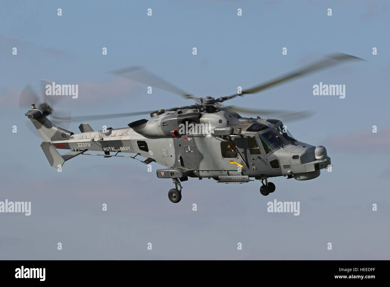 Aw 159 Luchs Wildkatze hma 2 Hubschrauber zz 379 der Royal Navy, der Luchs Wildkatze ersetzt die lynx Hma 8 in Rn-Service. Stockfoto