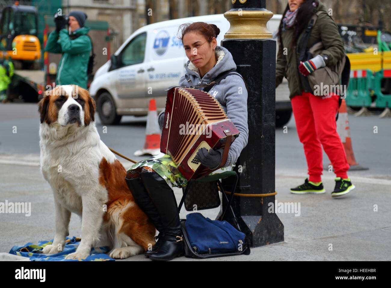 Ein Straßenmusikant mit ihrem Hund spielen auf der Straße vor dem Haus auszugestalten London, UK Stockfoto