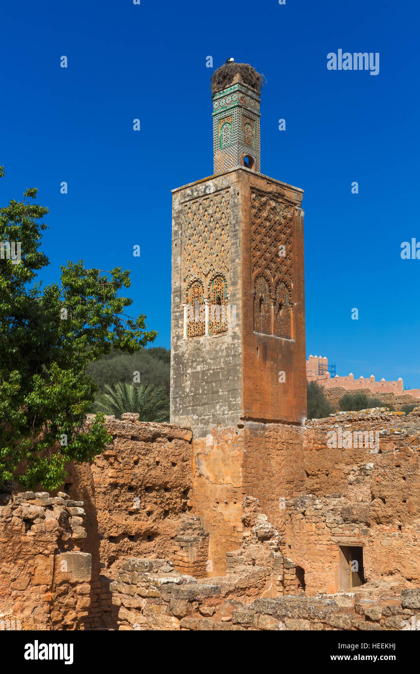 Chellah, in der Nähe von Rabat, römische Ruinen und Marinid Nekropole, Marokko Stockfoto