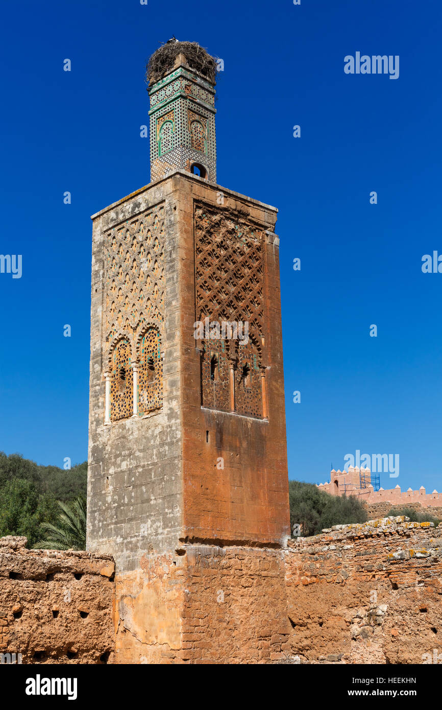 Chellah, in der Nähe von Rabat, römische Ruinen und Marinid Nekropole, Marokko Stockfoto