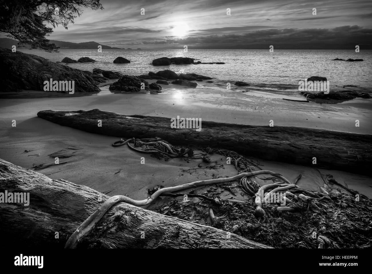 Sonnenaufgang am Strand von Aylard Farm in East Sooke Park-Metchosin, Britisch-Kolumbien, Kanada. Stockfoto