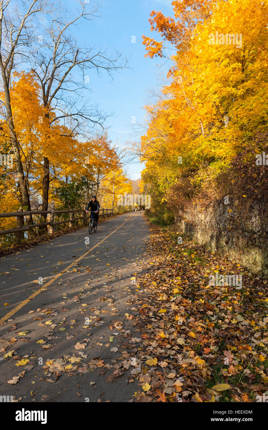 Männliche Radfahrer Fahrrad in einen Radweg, der Fußgängerzone Trail/Radweg, farbenfrohen Herbst Laub, Springbank Park, London, Ontario, Kanada. Stockfoto