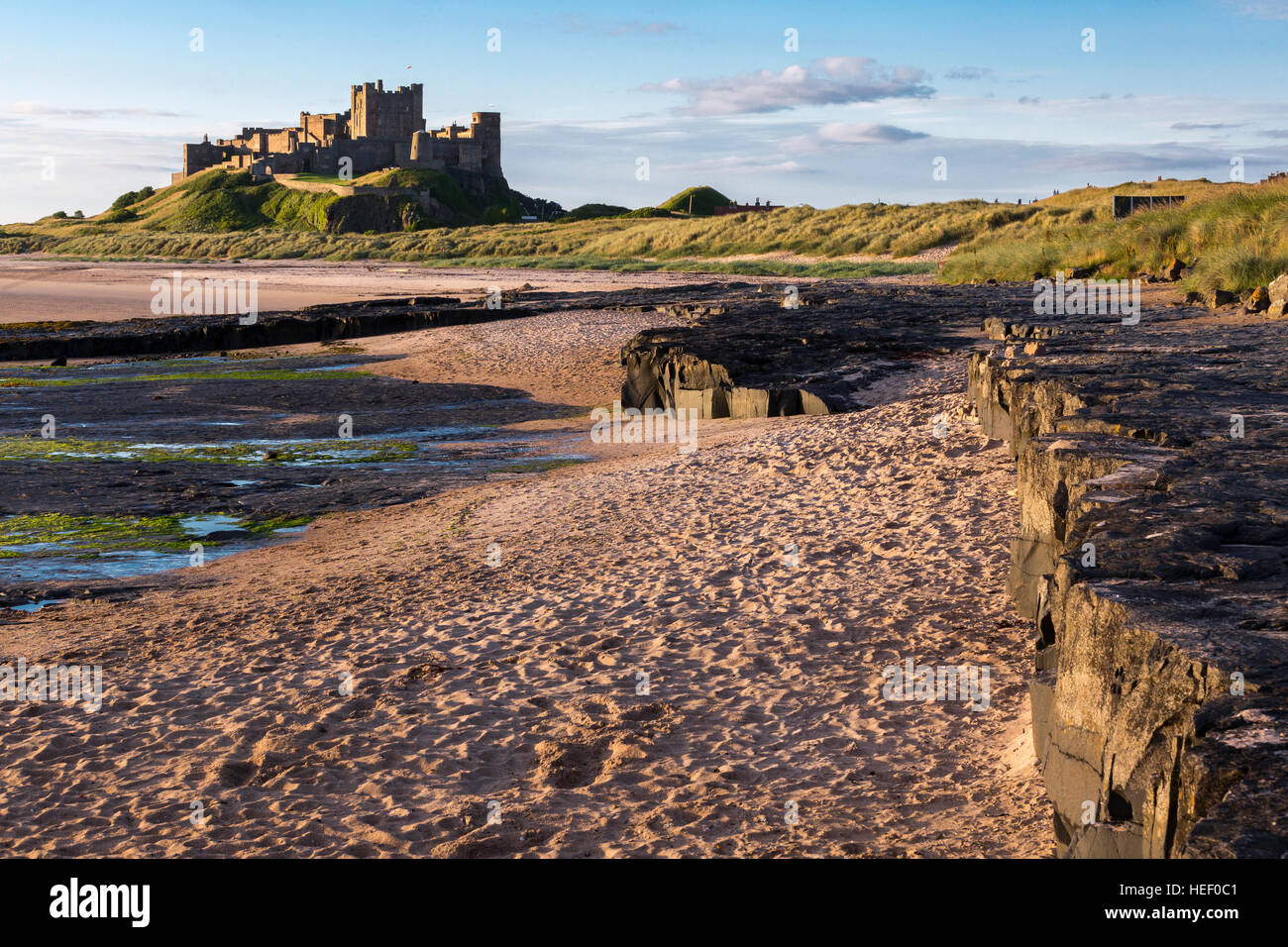 Sonnenaufgang am Strand von Bamburgh mit Bamburgh Castle und kleine Böschung, Northumberland, England, UK Stockfoto