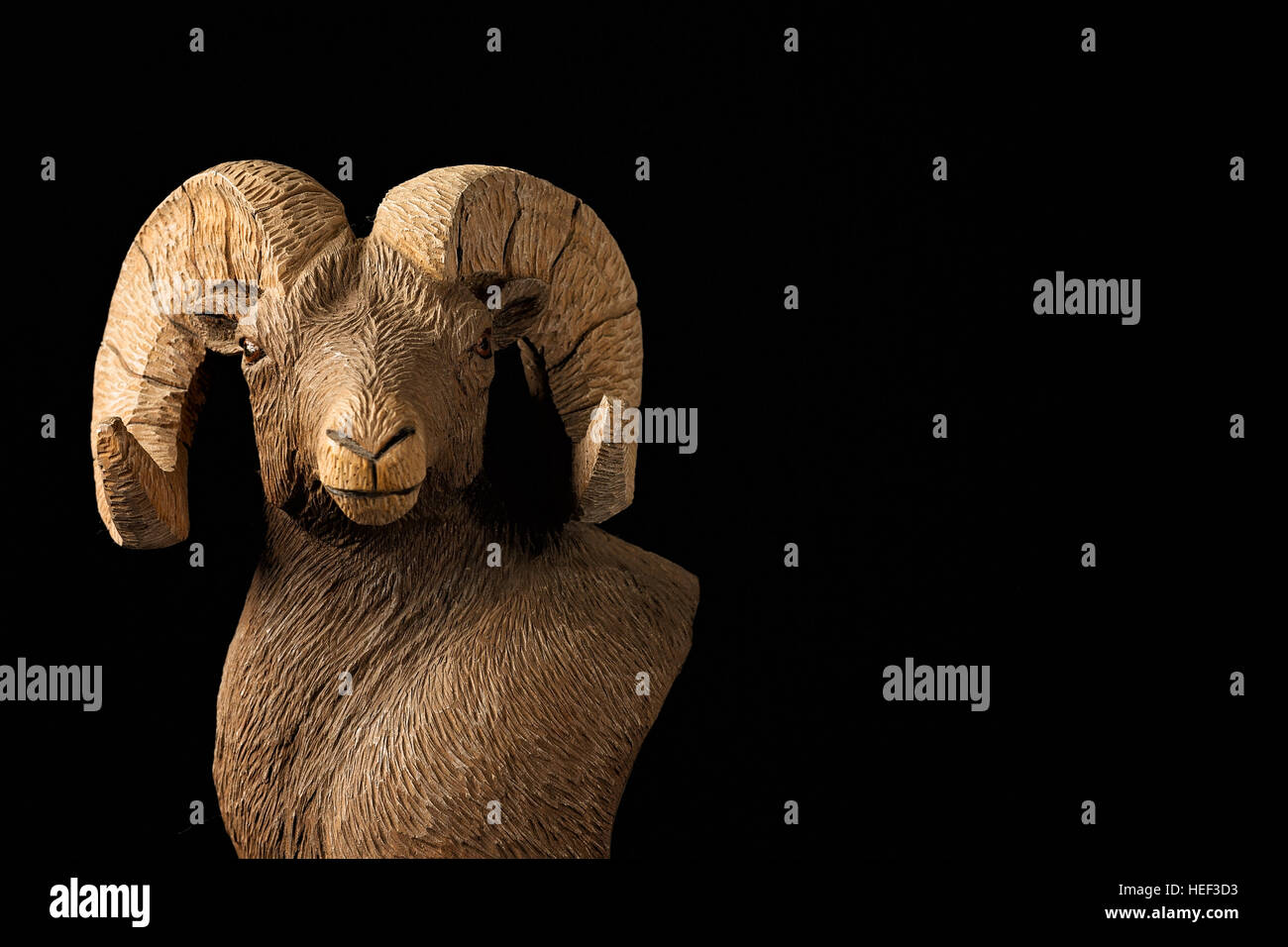 Bighorn Schafe Stockfoto