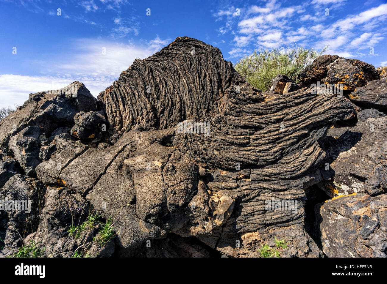 Mycelstränge Lava Bildung in das Naturdenkmal, Monumento natural del Tubo Volcanico de Todoque, Las Manchas, La Palma La Palma, Kanarische Inseln, Spanien Stockfoto