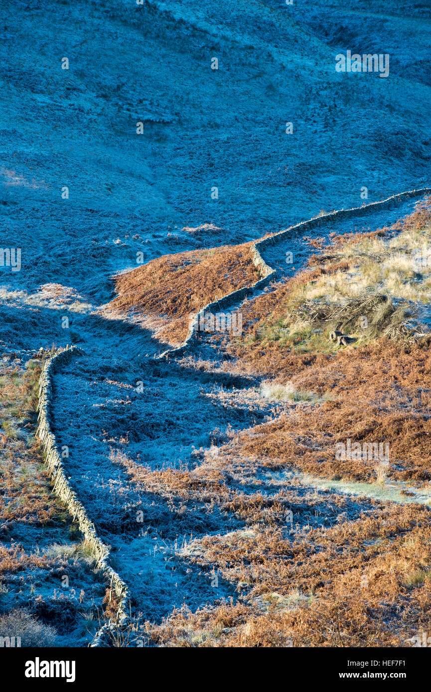 Trockenmauer, die Seite eines Berges in der frostigen am Nachmittag Sonne hinauf. Schottischen Borders. Schottland Stockfoto