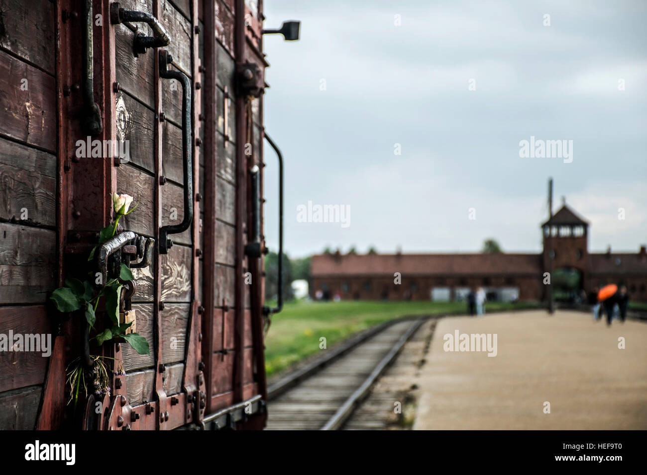 Blume mit historischen Zug auf Schienen in das Konzentrationslager Auschwitz Birkenau KZ Polen verbunden Stockfoto