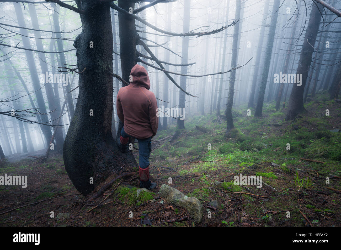 Einsamer Mann am alten nebligen Wald Stockfoto