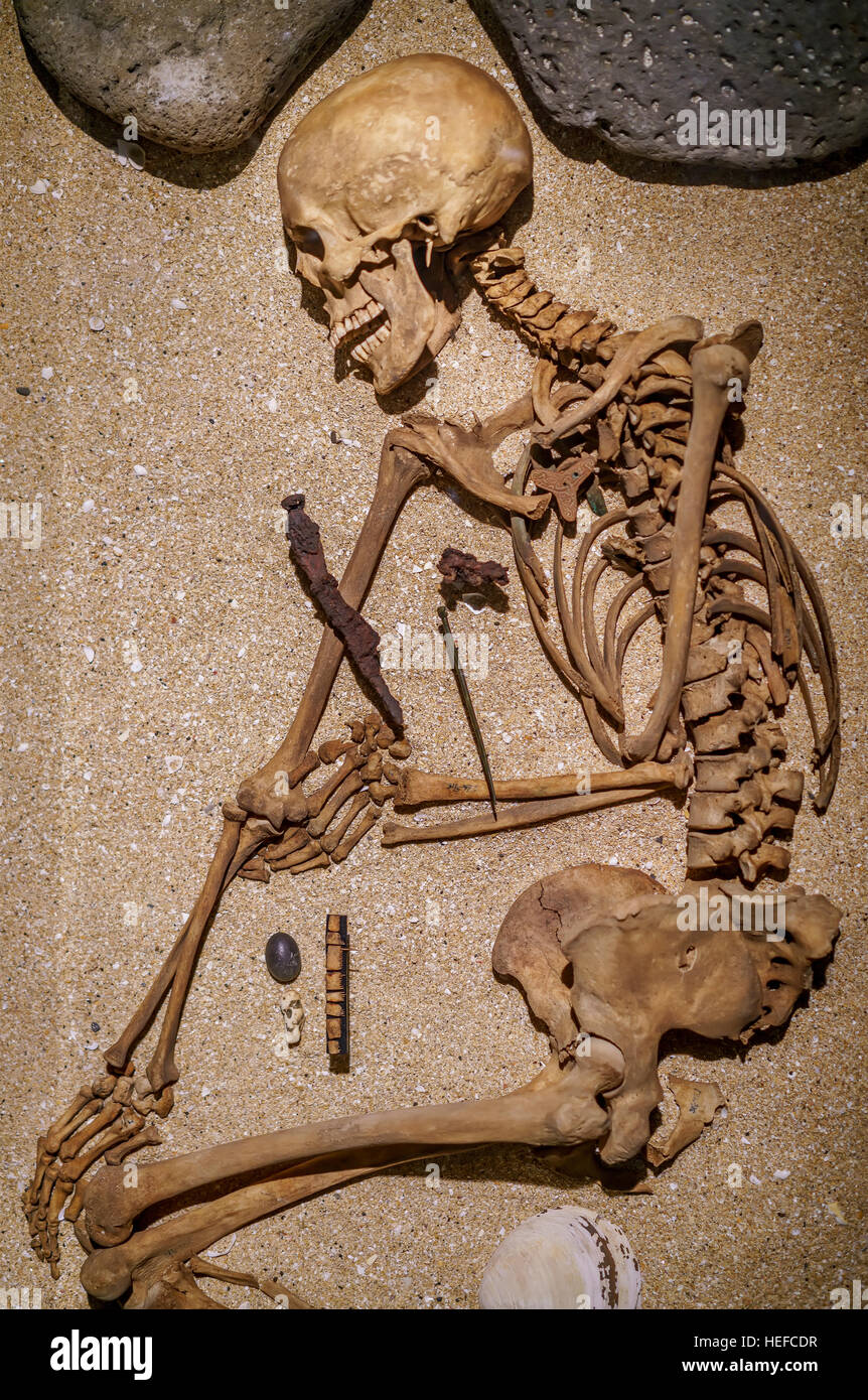 Skelett auf dem Display, National Museum (Thjodminjasafnid), Reykjavik, Island Stockfoto