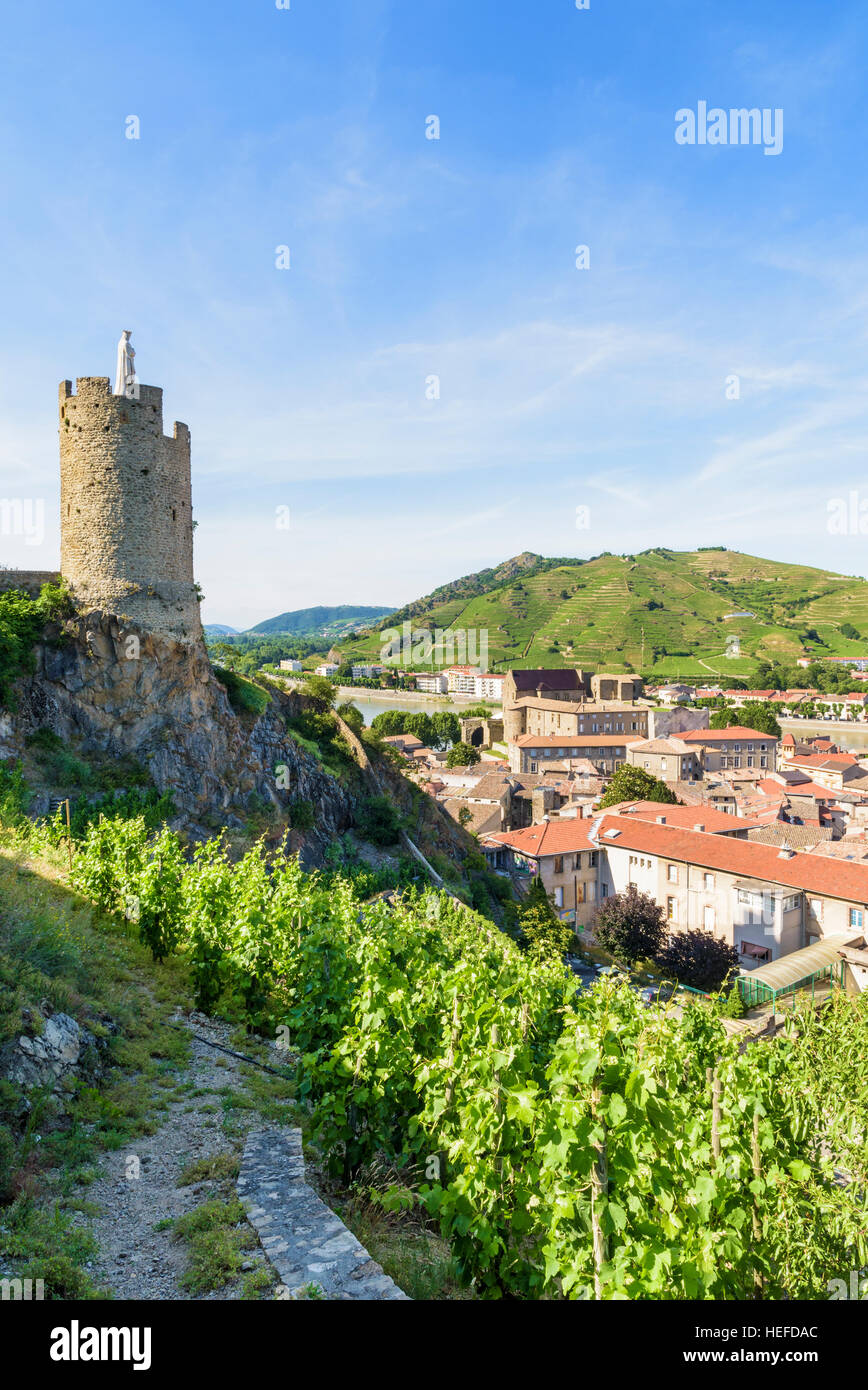 16. Jahrhundert Wachturm Tour de l'Hôpital umgeben von terrassierten Weinberge oberhalb von Tournon-Sur-Rhône, Ardèche, Frankreich Stockfoto