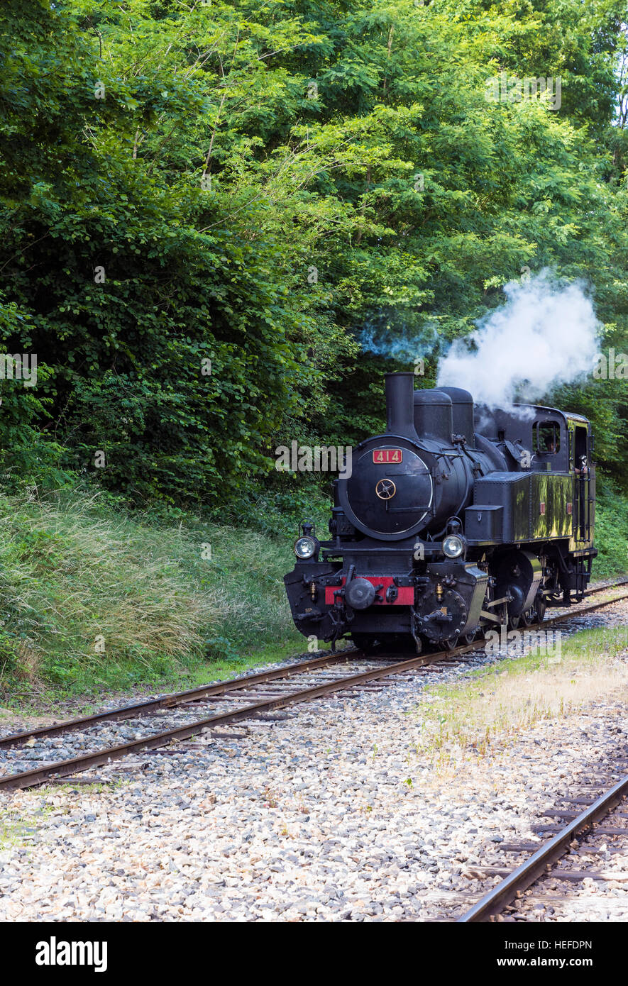 Mallet Lokomotive auf den Zug de l'Ardèche touristischen Zug, Colombier le Vieux – Saint-Barthélémy le Plain, Ardèche, Frankreich Stockfoto