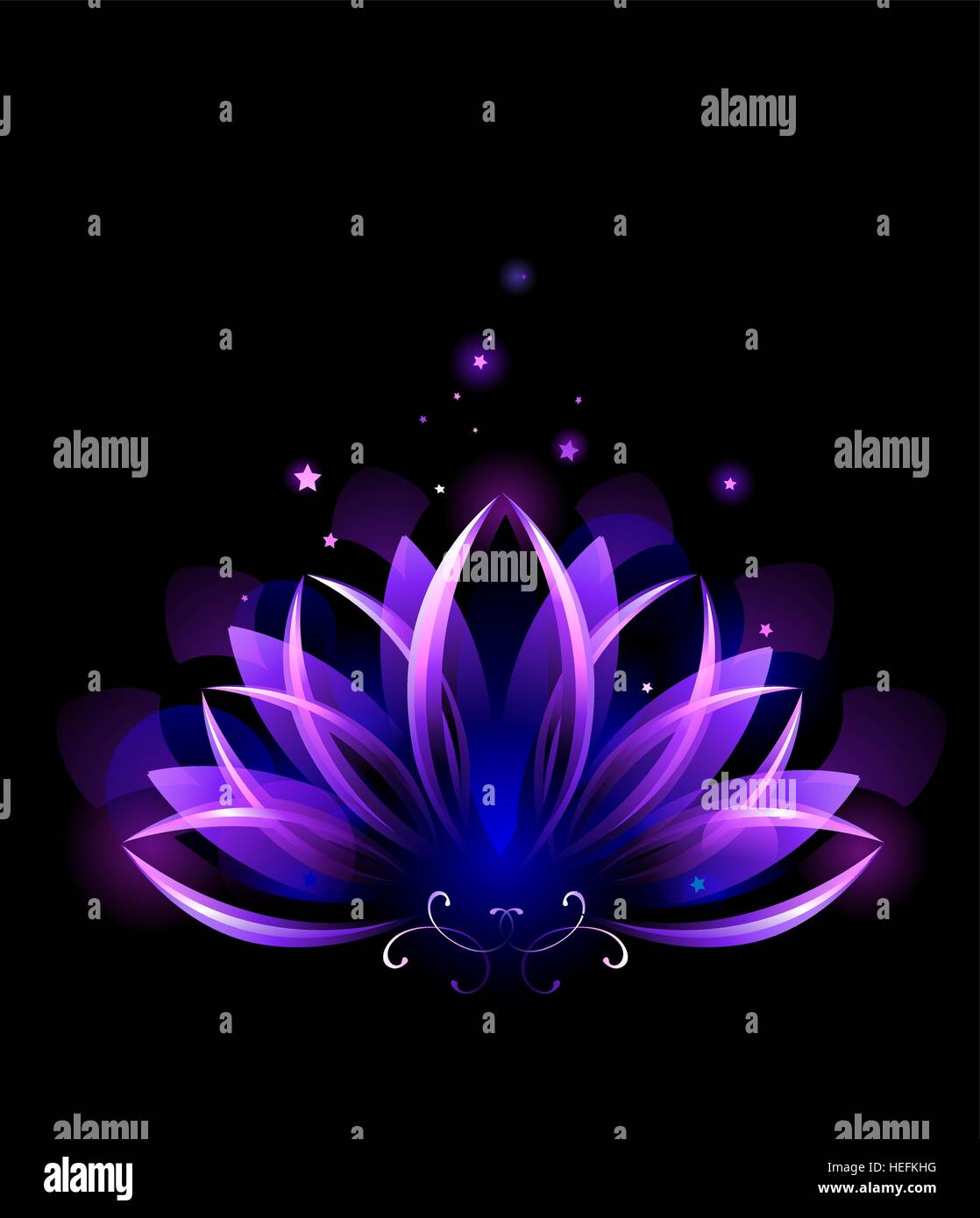lila, glühende Lotus auf schwarzem Hintergrund Stock Vektor