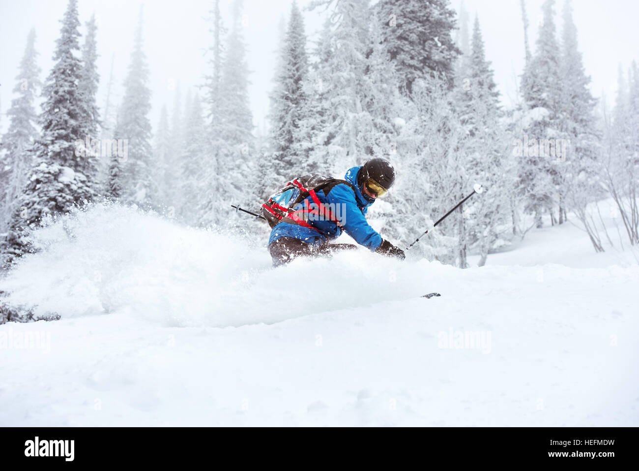 Skifahrer abseits der Piste Freeride Ski Wald Stockfoto