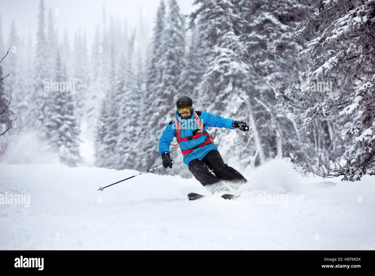 Skifahrer bewegen schnell Wald abseits der Piste Stockfoto