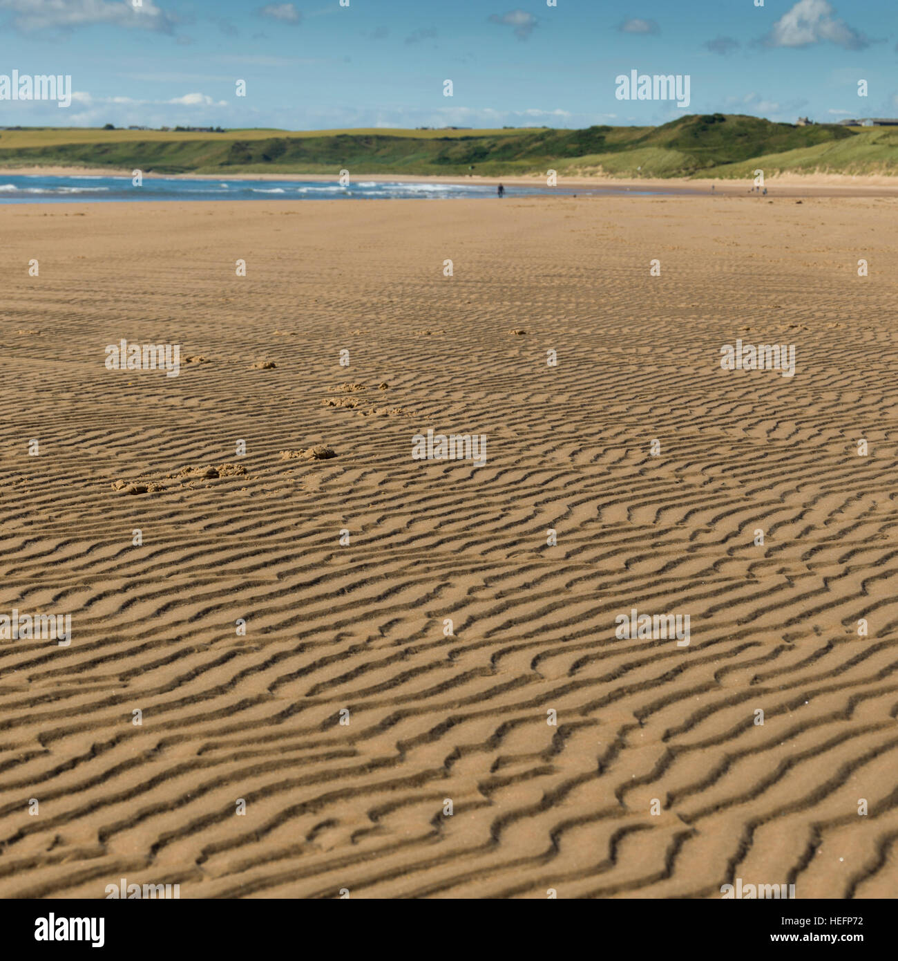 Cruden Bay Beach, Aberdeenshire, Schottland Stockfoto