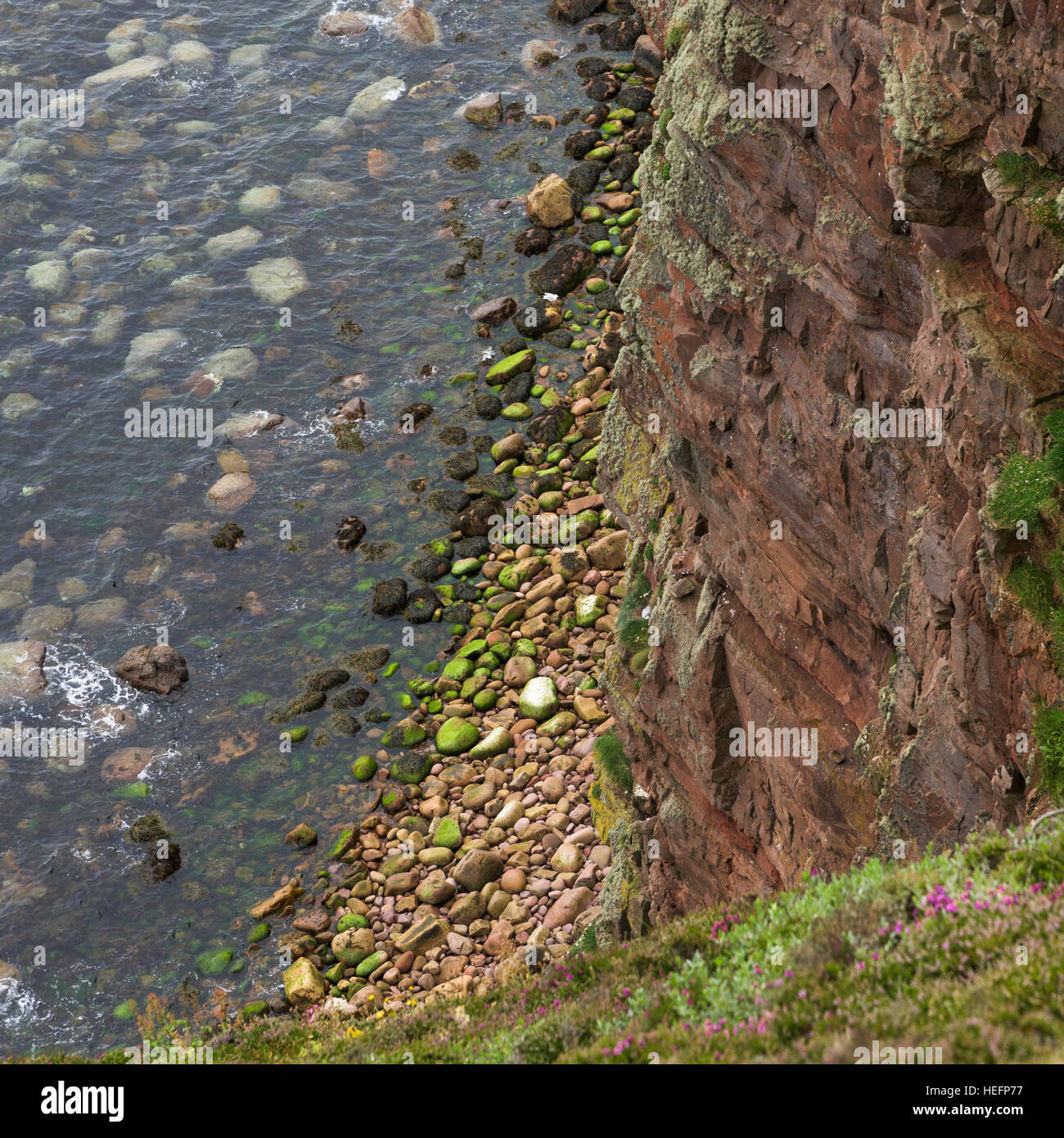 Duncansby Head, Caithness, Schottisches Hochland, Schottland Stockfoto