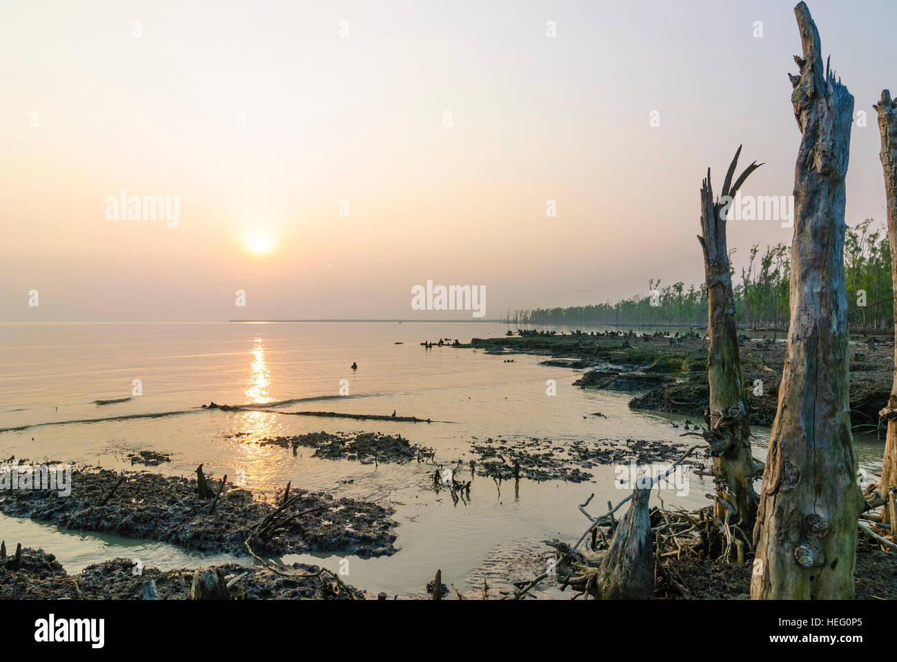 Sundarbans Nationalpark: Mangrovengebiet am Golf von Bengalen bei Sonnenuntergang, Division Khulna, Bangladesh Stockfoto