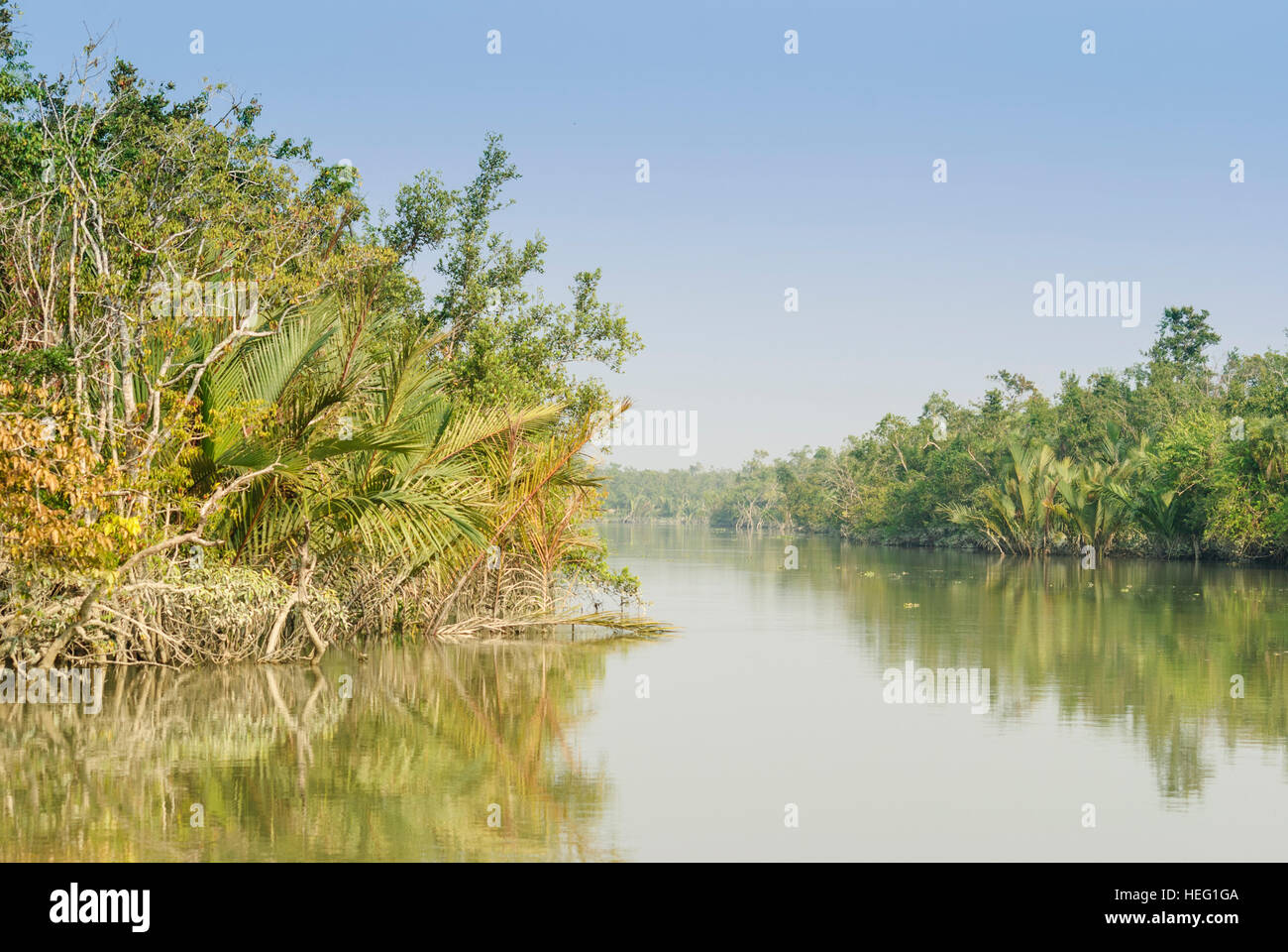 Sundarbans Nationalpark: River Arm, Division Khulna, Bangladesh Stockfoto