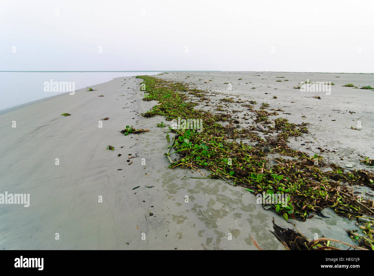 Sundarbans Nationalpark: vor kurzem erstellt Sandbank an einem Fluss in den Golf von Bengalen, Division Khulna, Bangladesh Stockfoto