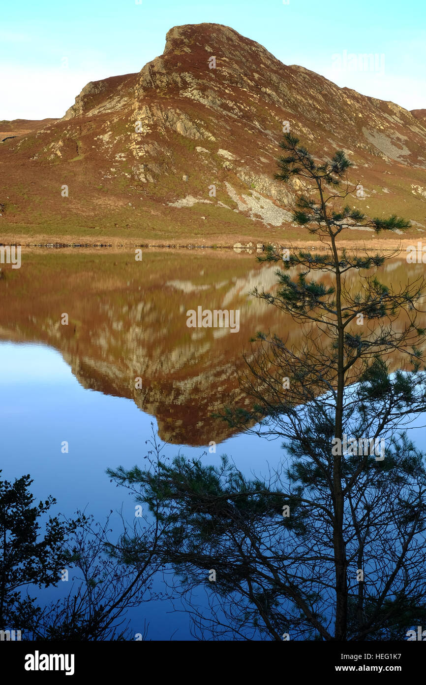 Llyn Cregennen im Snowdonia National Park, Wales Stockfoto