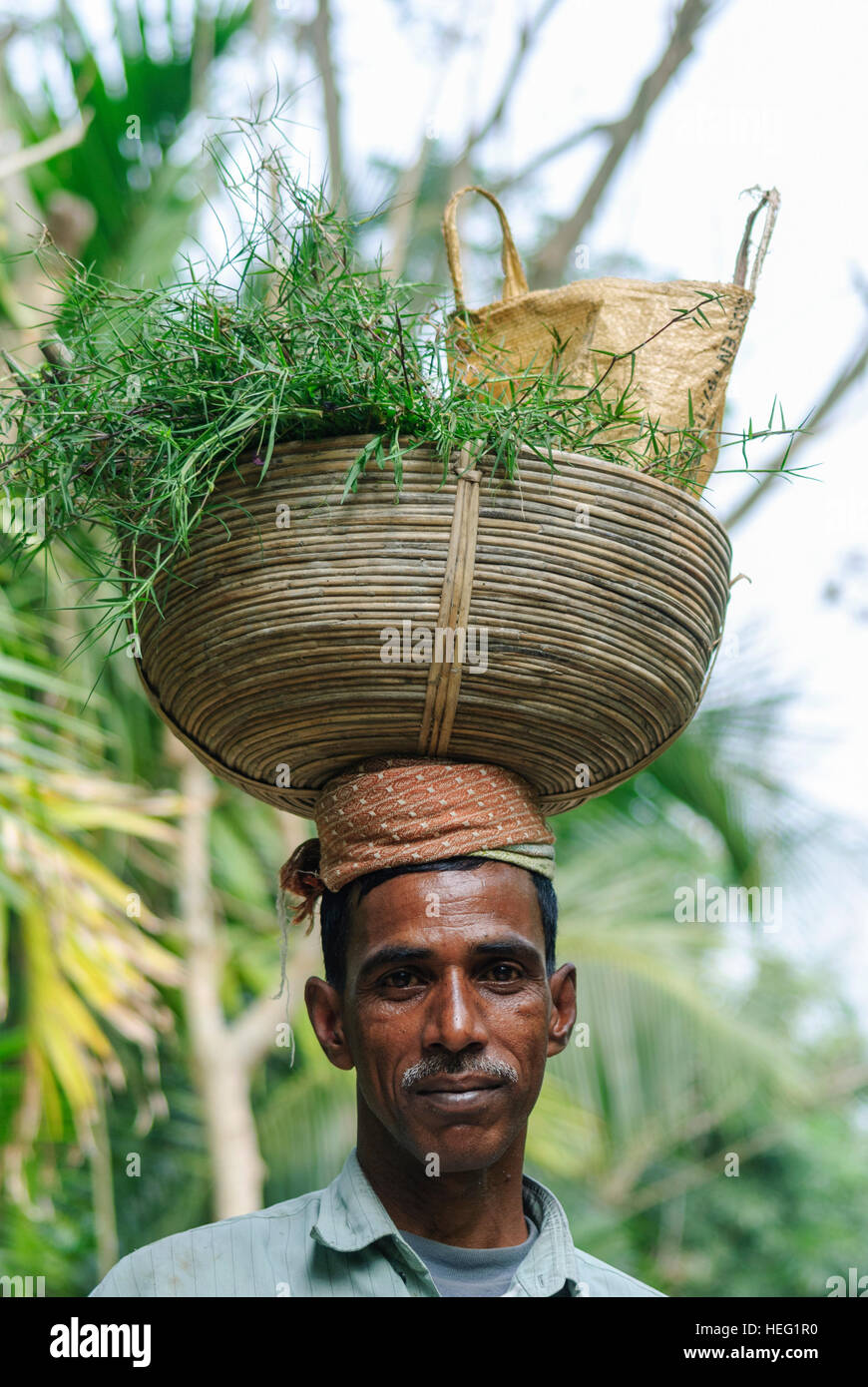 Hariargup: Mann mit Einkäufen auf seinem Kopf, Division Khulna, Bangladesh Stockfoto