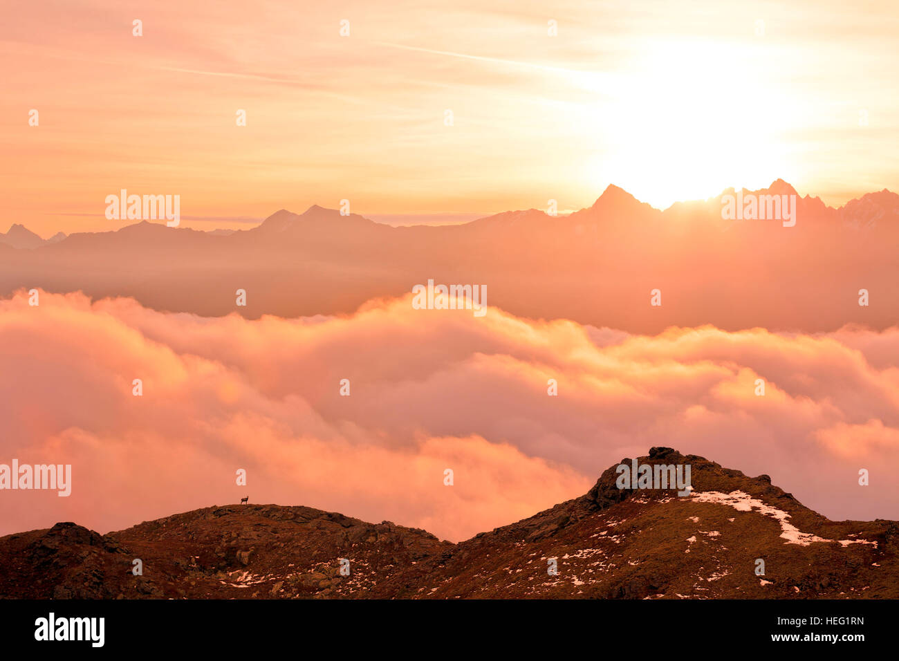 Österreich, Tirol, morgen Stimmung in den Ã – Tztal-Alpen Stockfoto