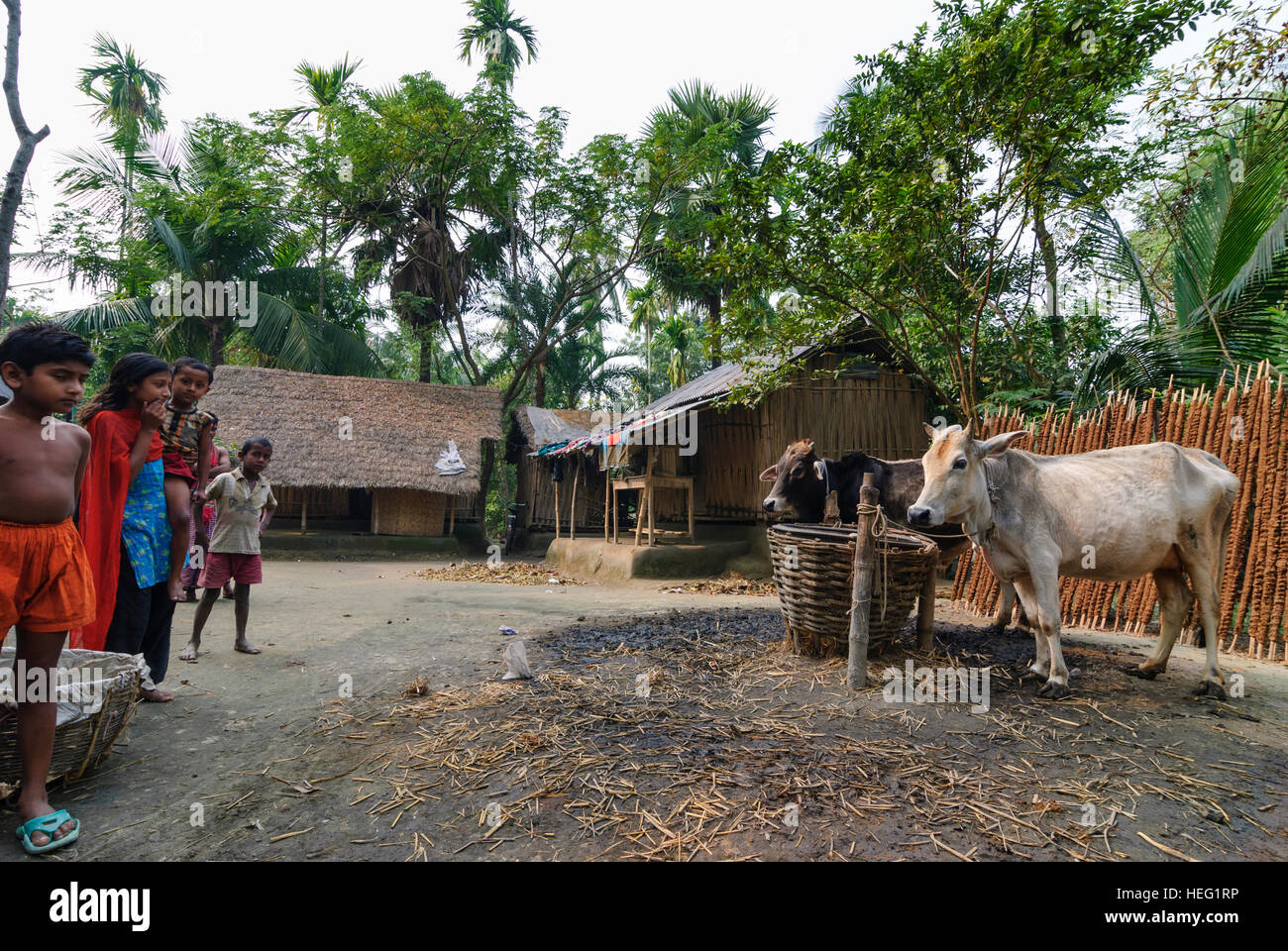 Hariargup: Wohnhaus im Dorf, Division Khulna, Bangladesh Stockfoto