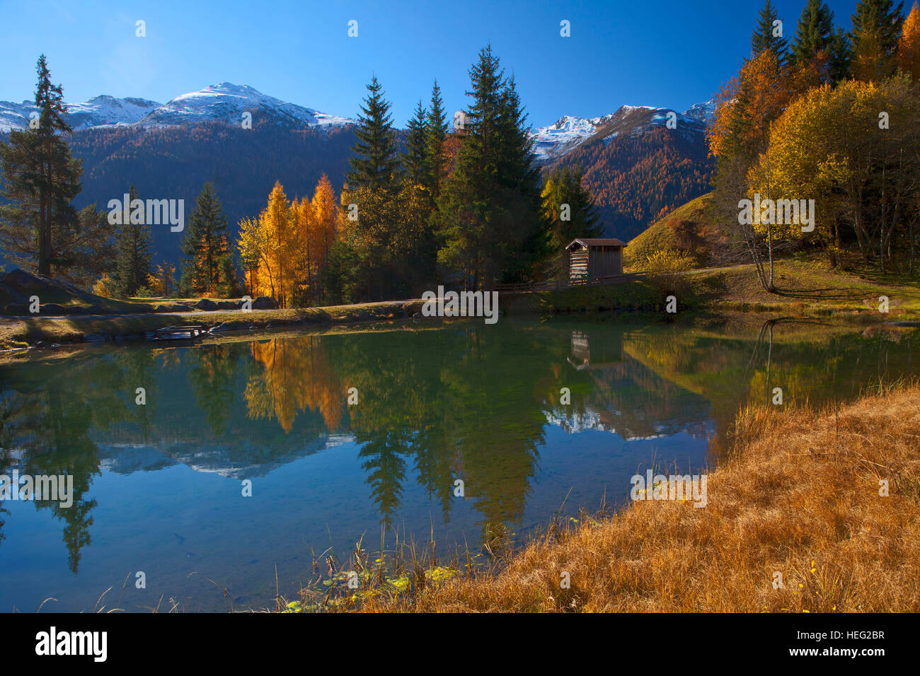 Egger weiher Fotos und Bildmaterial in hoher Auflösung Alamy