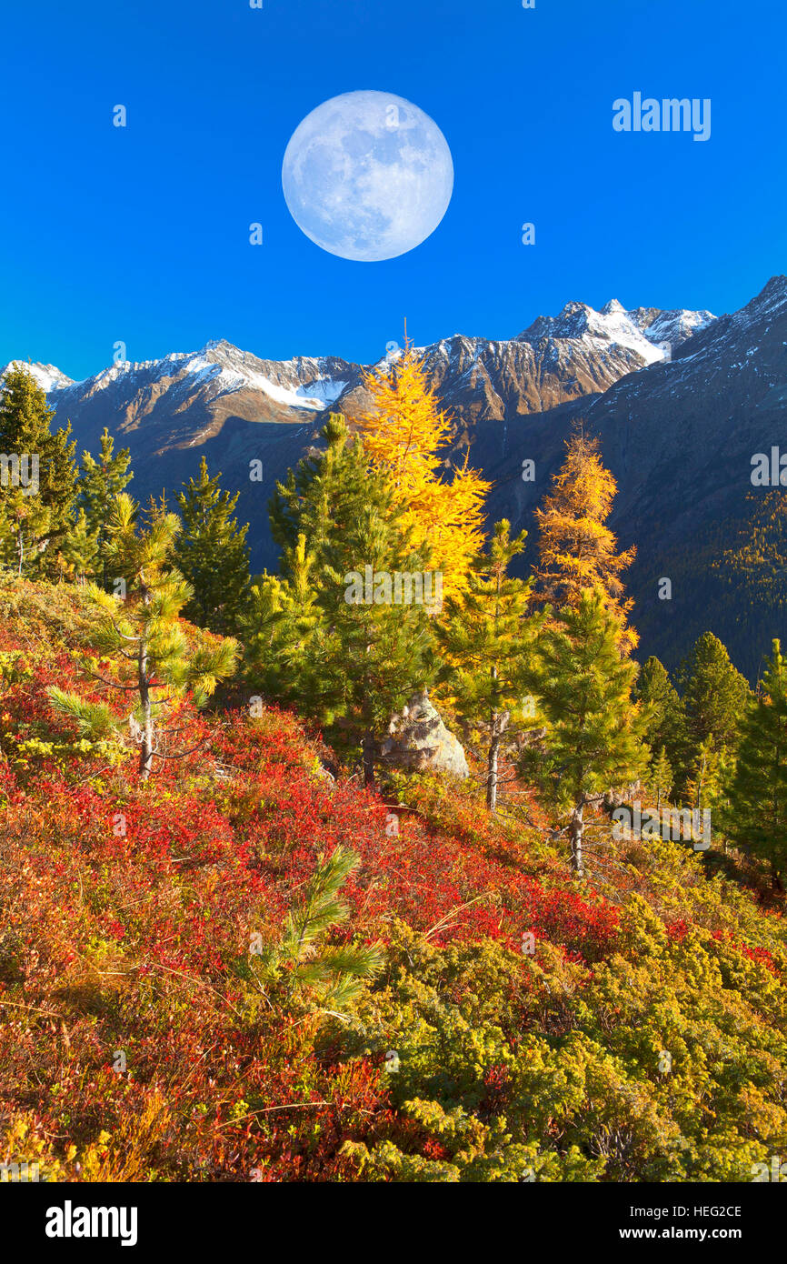 Österreich, Tirol, Sölden, Herbststimmung auf der Rettenbachalm (Alp) Stockfoto