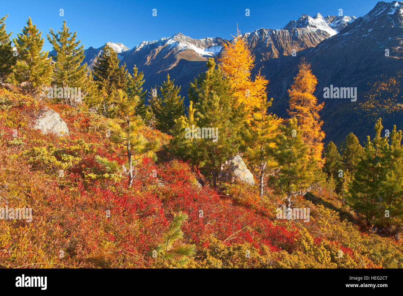 Österreich, Tirol, Sölden, Spätherbst auf der Rettenbachalm Stockfoto