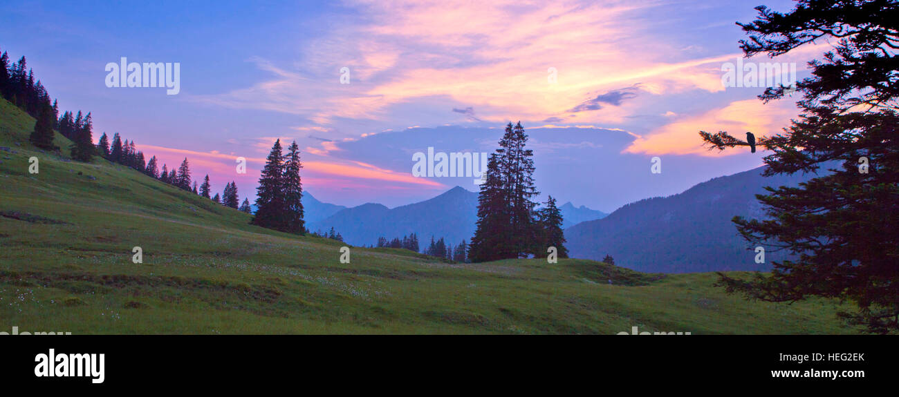 Österreich, Tirol, Thierseetal (Tal), am Abend auf der Ackernalm (Alp) Stockfoto