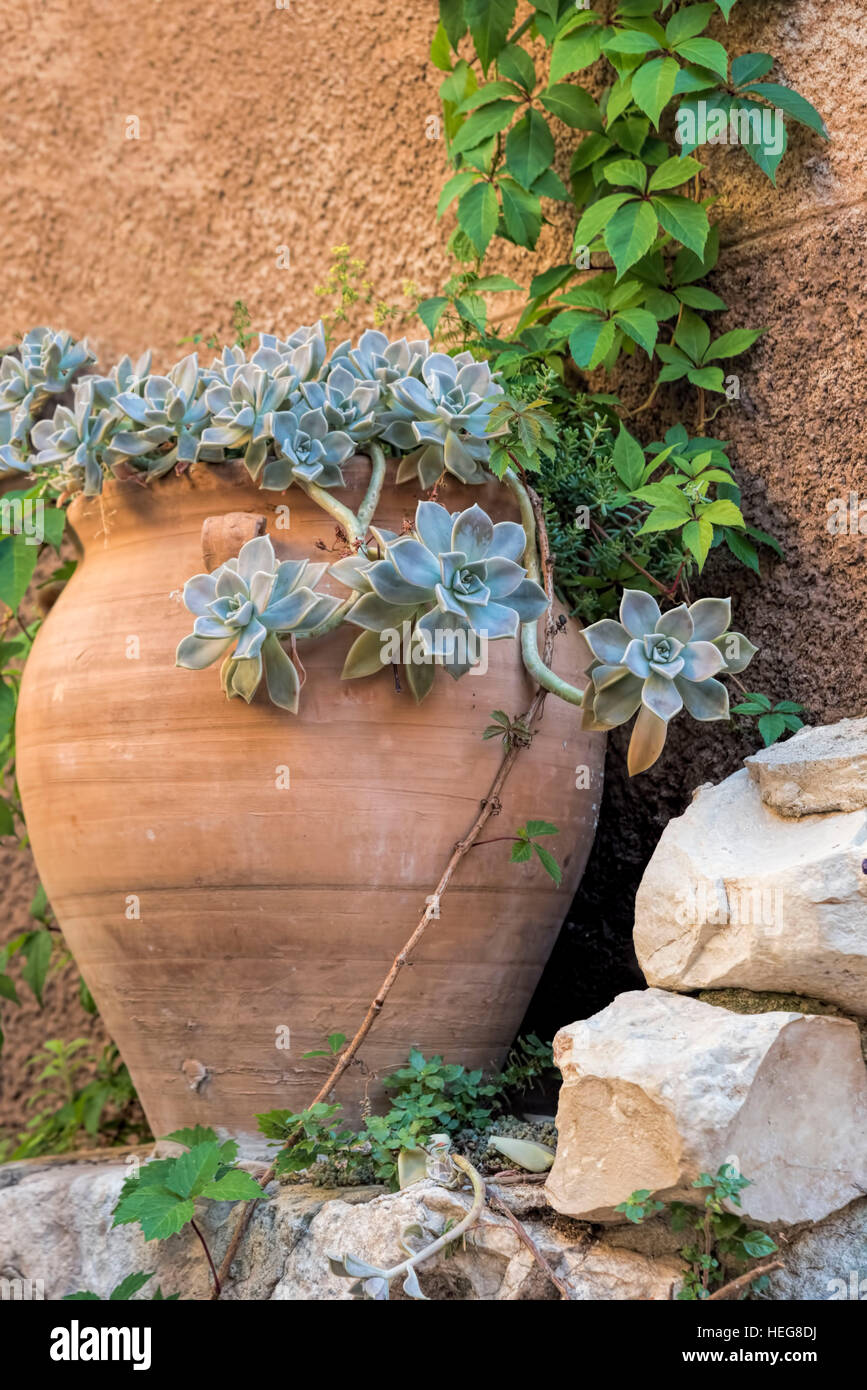 Mediterraner topf -Fotos und -Bildmaterial in hoher Auflsung  Alamy