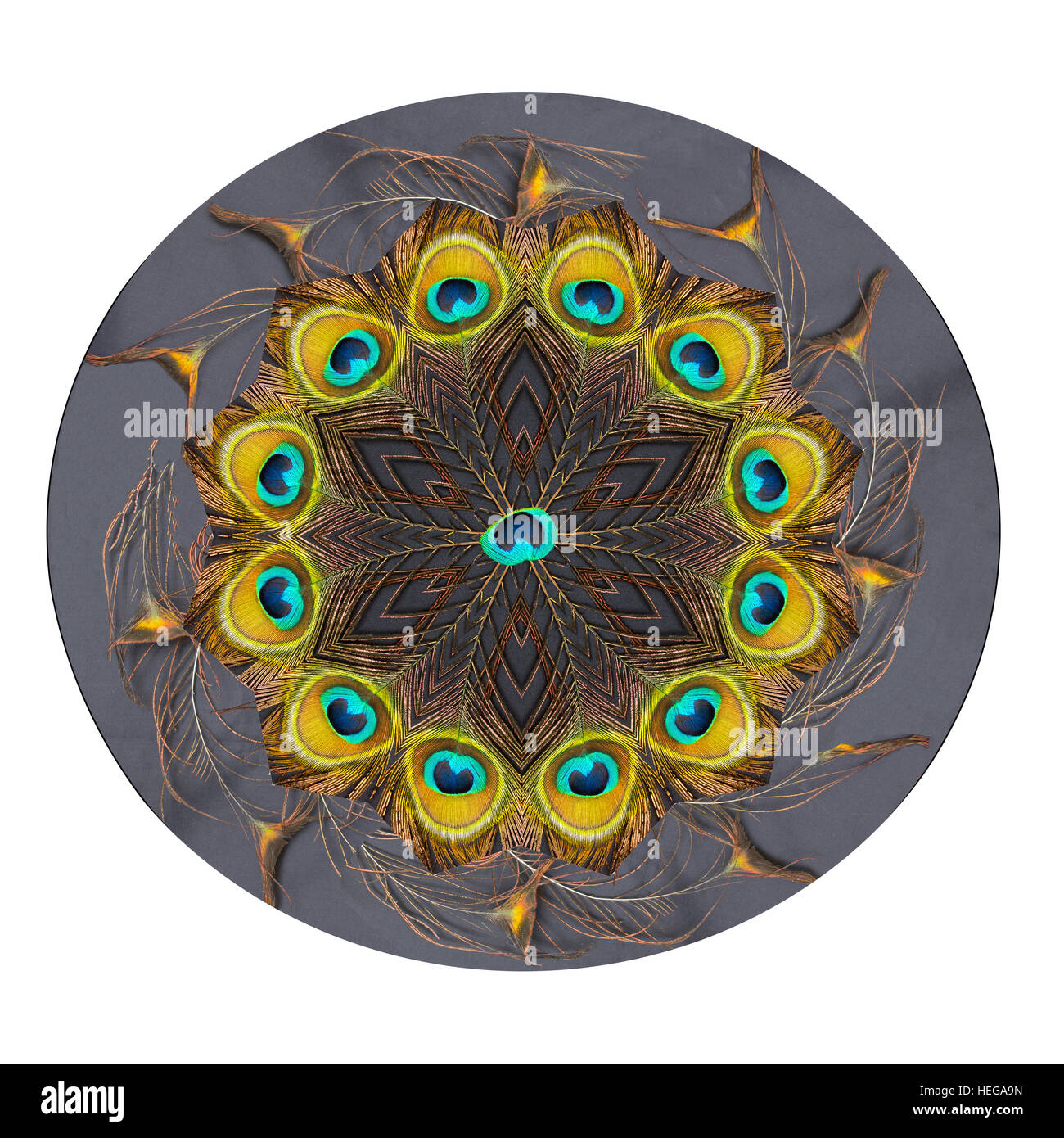 Kaleidoskop aus einer Pfauenfeder Stockfoto