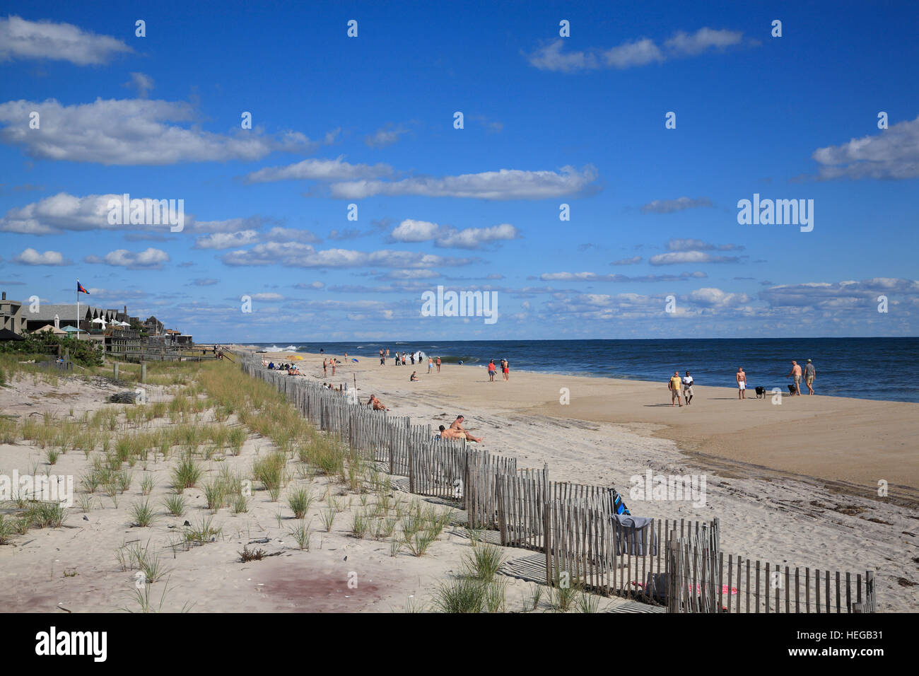 Ferienhäuser, Kiefern Strand Dünen, Fire Island, Long Island, New York, USA Stockfoto