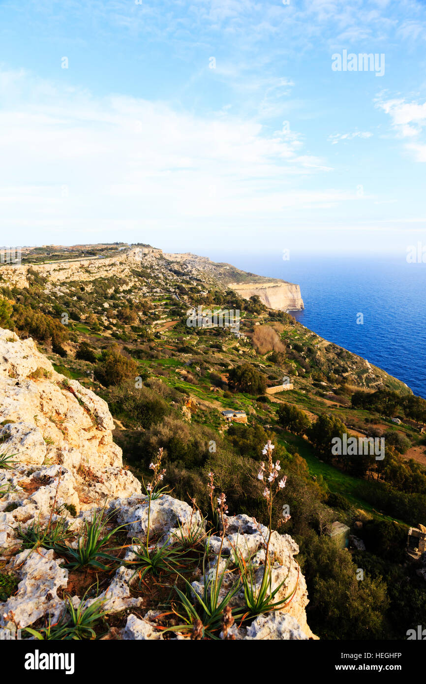 Dingli Cliffs, Malta Stockfoto