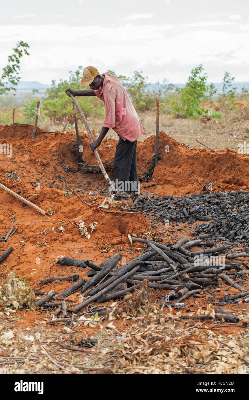 Köhler. Gewinnung von Holzkohle aus Klammer abkühlen. Nord-Madagaskar. Stockfoto