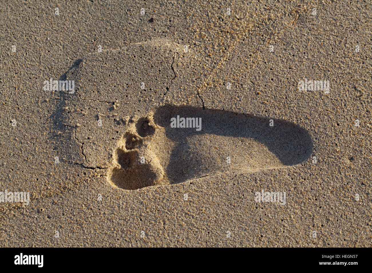 Menschlichen Fußabdruck im nassen Sand. Sambava Strand. Sava Region. Nord-Ost-Madagaskar. Stockfoto