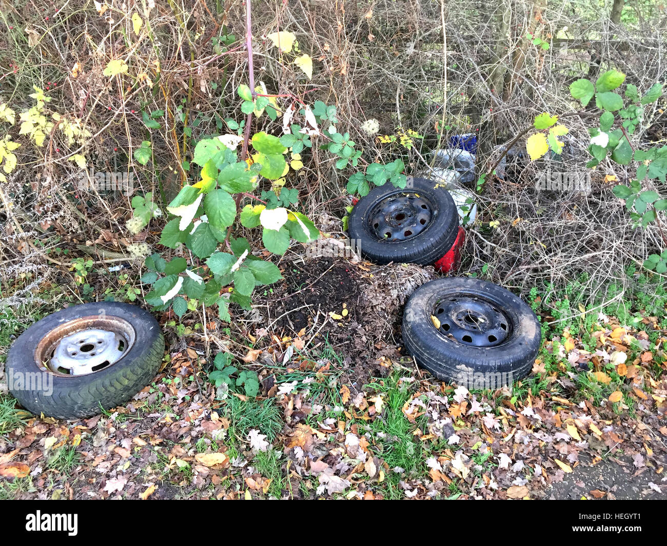 Fliegen Sie Kipp Foto Tony Gale Stockfoto