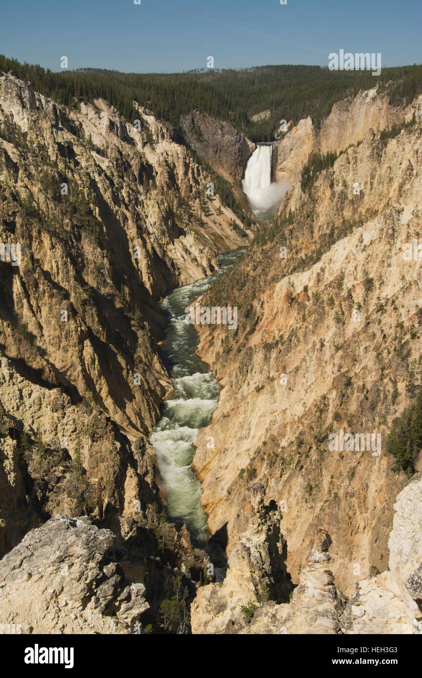 Vereinigte Staaten von Amerika, USA, Wyoming, WY, Yellowstone-Nationalpark, Yellowstone River, Artist Point, Lower Falls Stockfoto