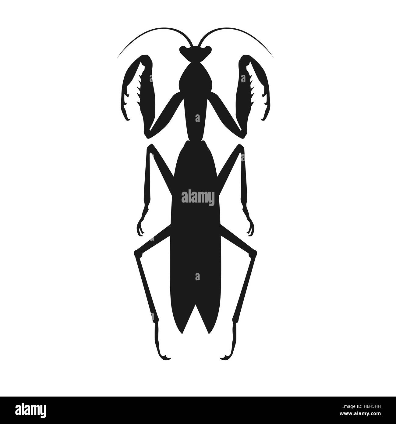 Schwarze Heuschrecke-Symbol. Natur Schwarz Cartoon Locust und niedlichen flach Heuschrecke-Symbol. Wildes Geschöpf Antenne Wirbellosen niedlich Stock Vektor