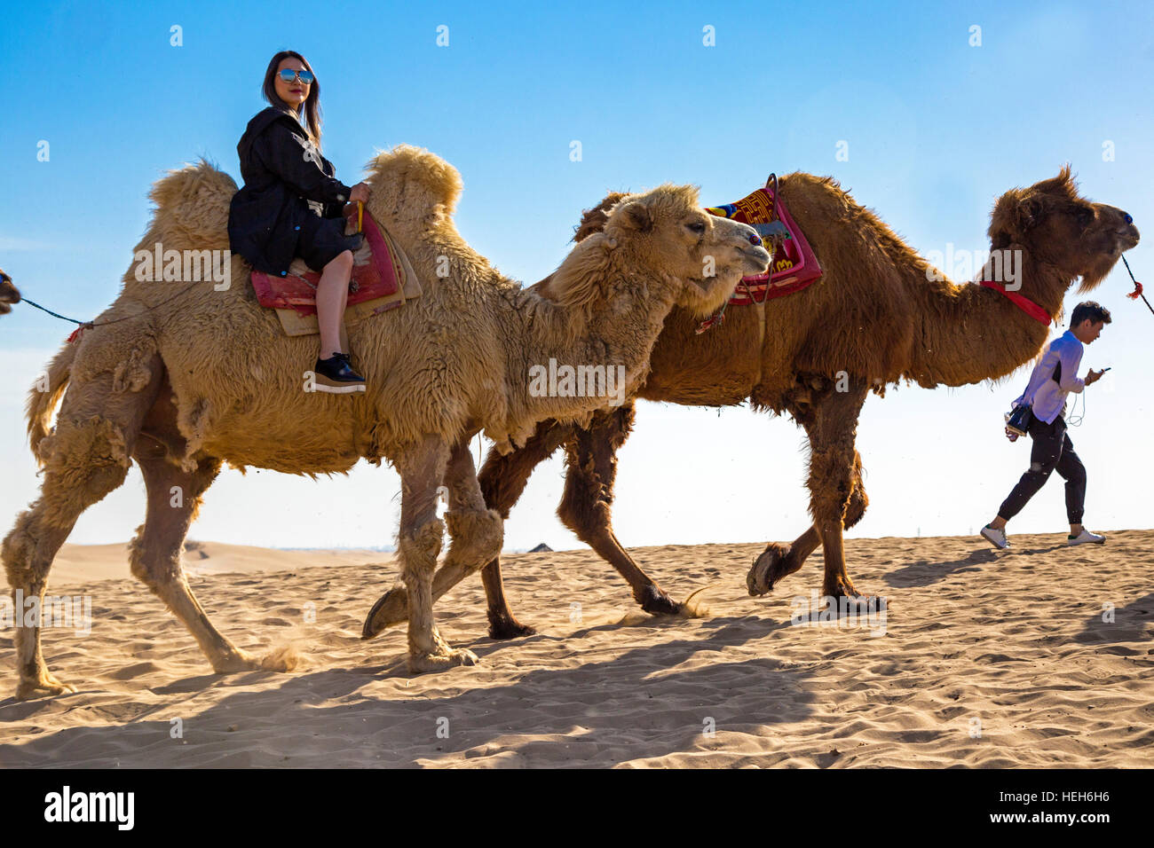 Touristen und Kamele auf Sand Lake, Shizuishan, Ningxia, China Stockfoto