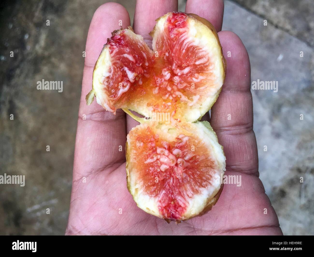 Nahaufnahme und selektiven Fokus der Fig oder Ficus Carica benannt Horai. Stockfoto