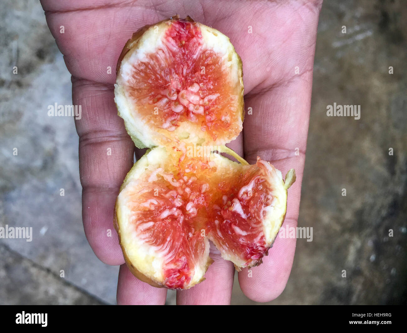 Nahaufnahme und selektiven Fokus der Fig oder Ficus Carica benannt Horai. Stockfoto