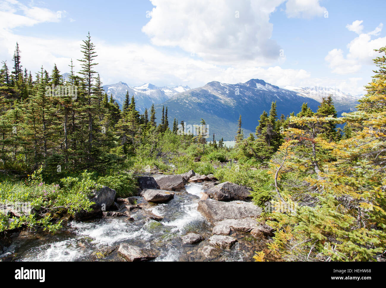 Der Stream von Upper Dewey Lake hinunter über 3000 Fuß (Alaska). Stockfoto