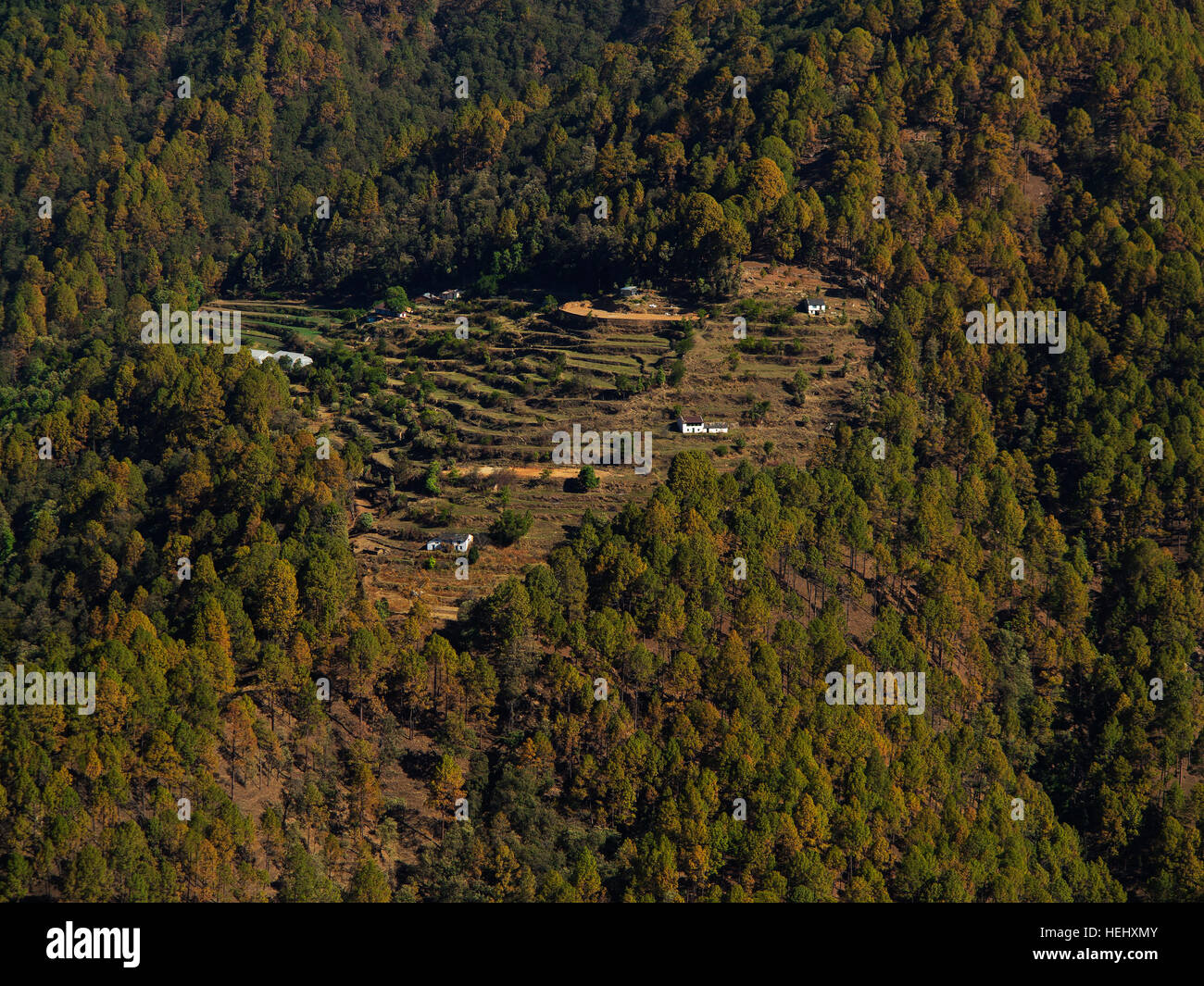 Abgelegenen Dorf, umgeben von Wald in Kumaon Hügeln, Uttarakhand, Indien Stockfoto