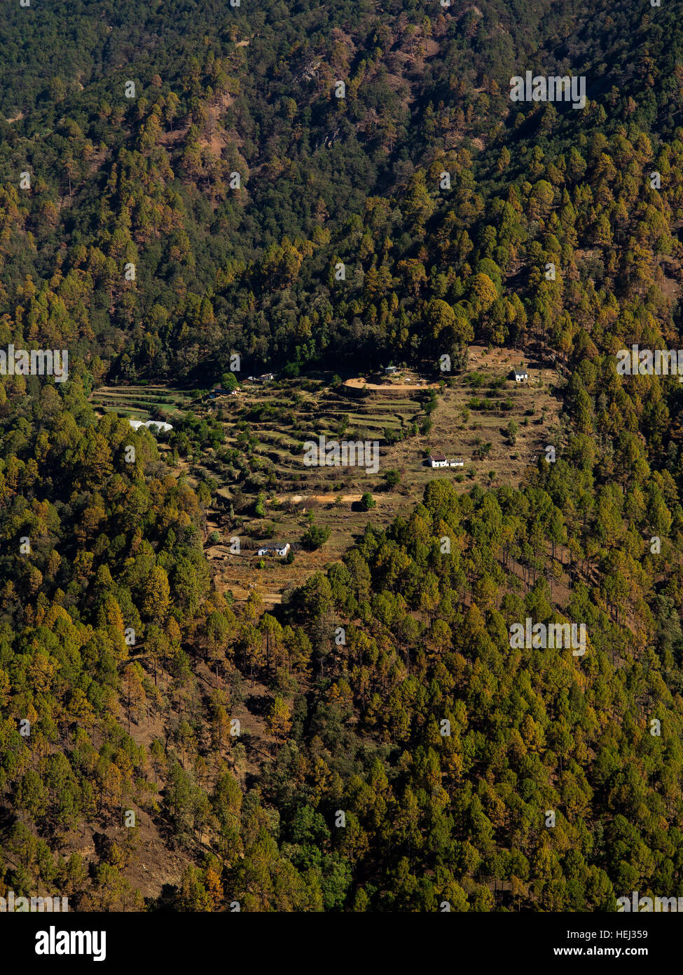 Abgelegenen Dorf, umgeben von Wald in Kumaon Hügeln, Uttarakhand, Indien Stockfoto