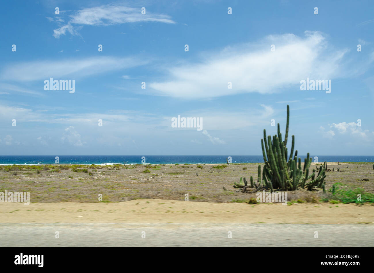 Trockene Wüstenlandschaft mit Kakteen und einheimischen Pflanzen in Aruba-Insel in der Karibik Stockfoto